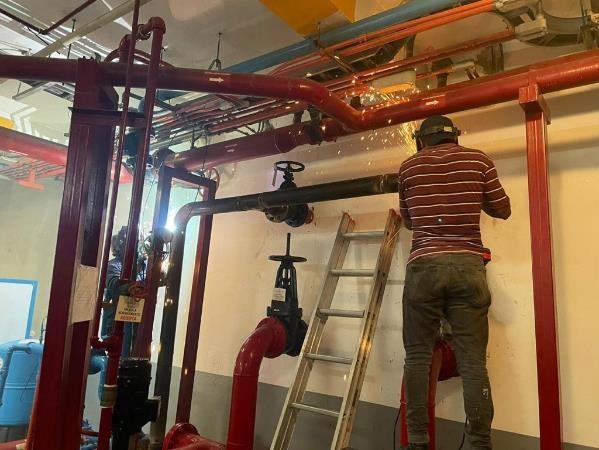 Galería 16